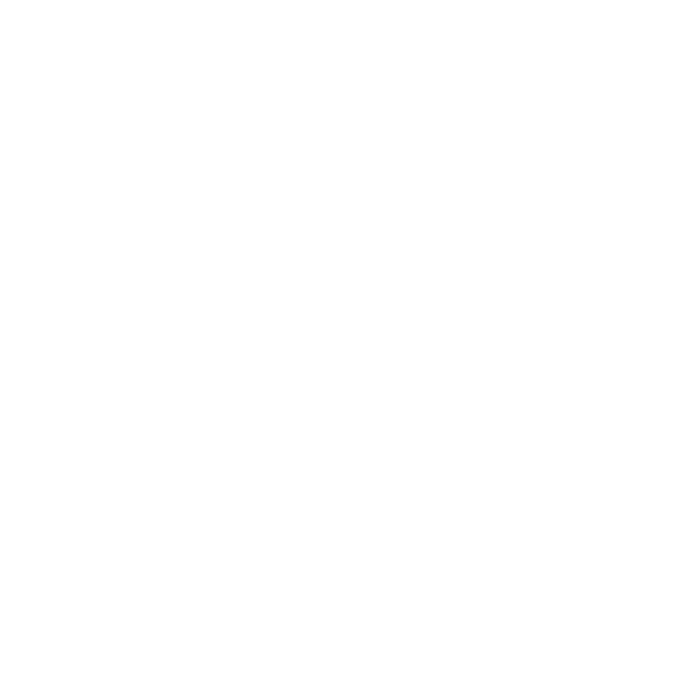 South Hill at Cooper Meadows logo